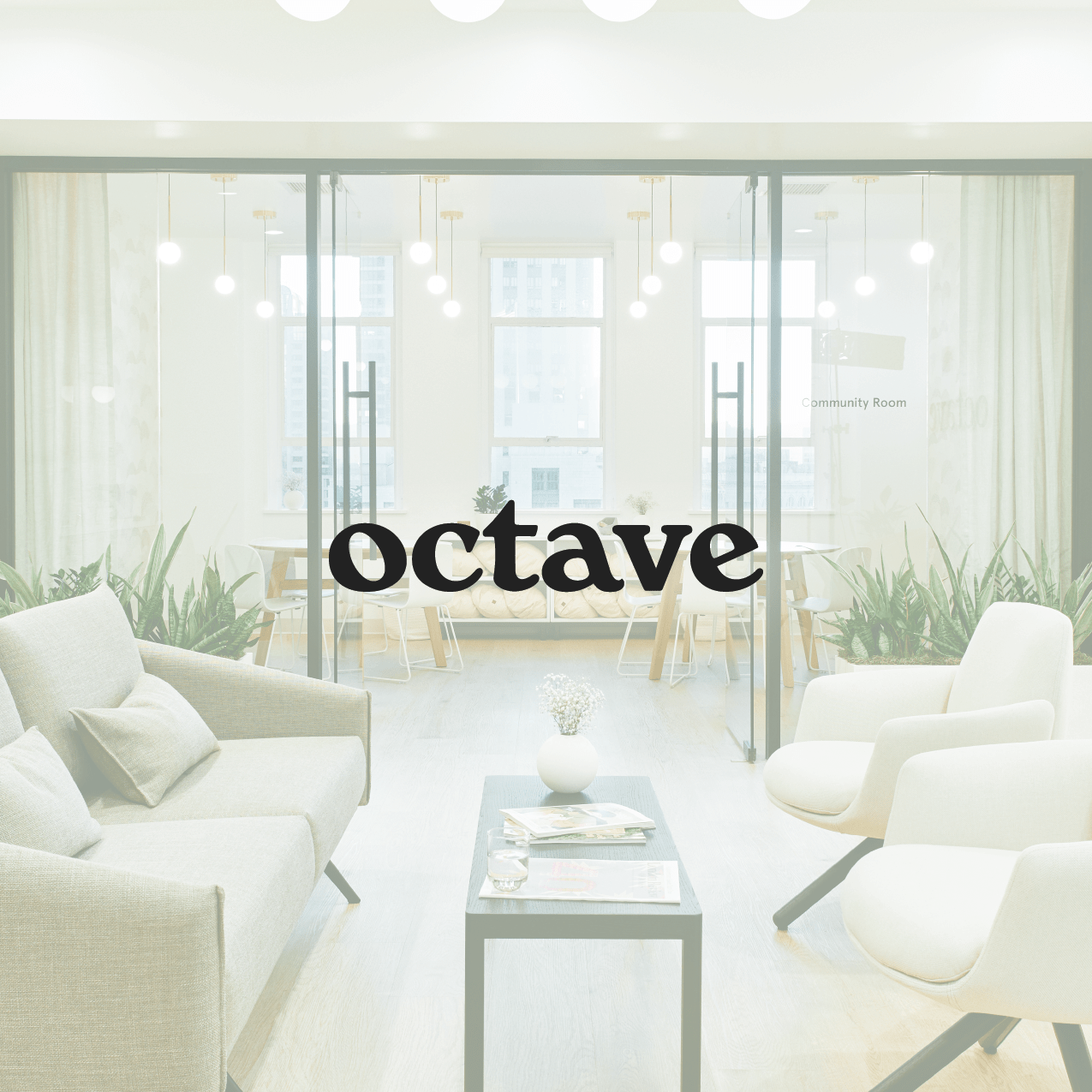 Privacy Policy Octave